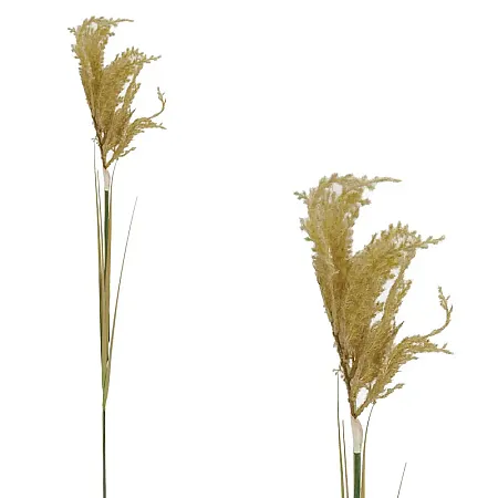 images/uploads/22806/thumb_1383-2 BROWN.webp